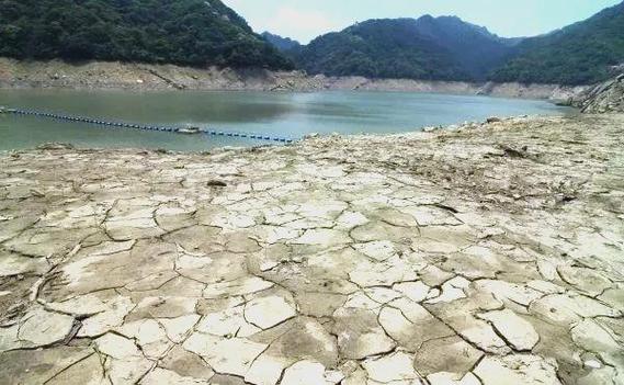 台灣哪裡缺水?深度解析台灣水情挑戰與你我應對策略 1 台灣哪裡缺水