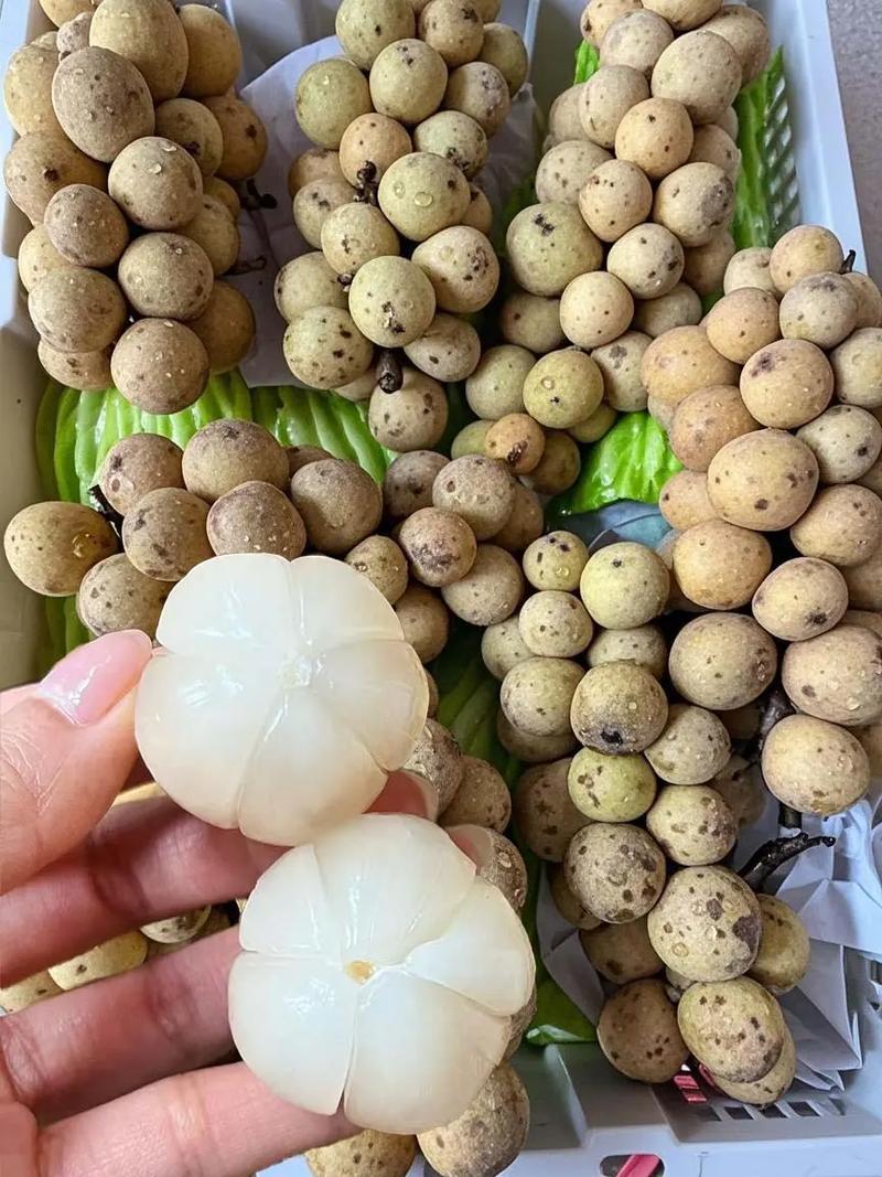 靈骨塔不能拜什麼水果?祭拜塔位水果禁忌與選擇指南,讓你心意到位不失禮! 1 靈骨塔不能拜什麼水果