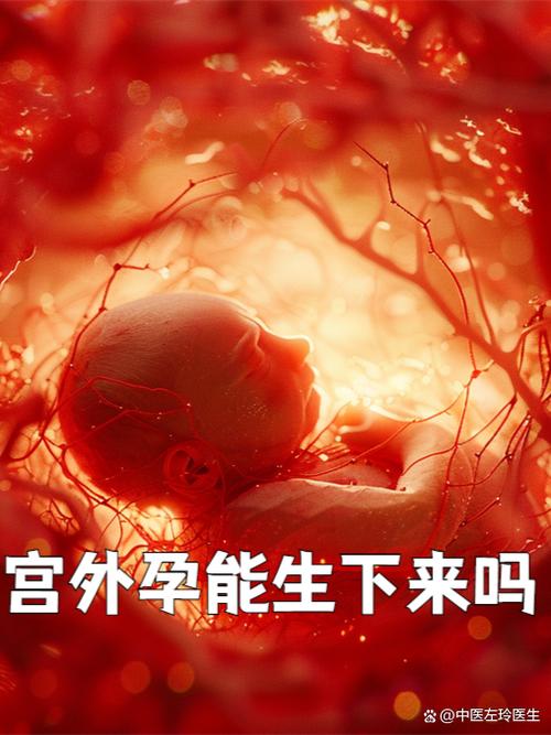 最晚幾週照到胚胎