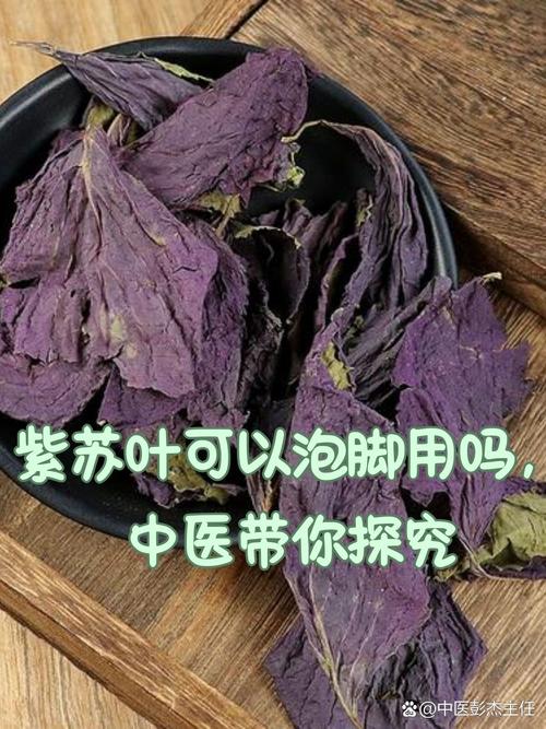 紫蘇可以泡腳嗎:從功效到實踐,深度解析紫蘇泡腳的奧秘與注意事項 3 紫蘇可以泡腳嗎
