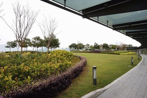 如何去啟德空中花園:交通攻略、遊覽指南與周邊探索深度解析 1 如何去啟德空中花園