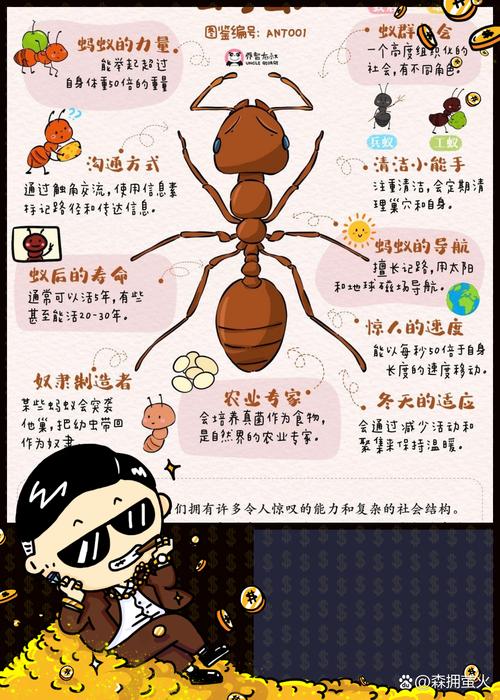 螞蟻是幾維生物