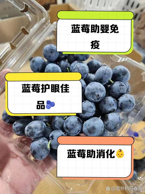 寶寶可以吃藍莓嗎