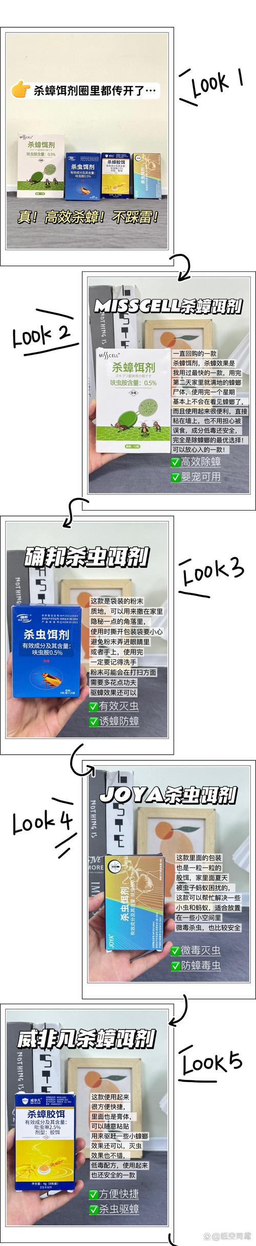 蟑螂為何殺不完?深入剖析小強的生命力與居家滅蟑終極攻略 3 蟑螂為何殺不完