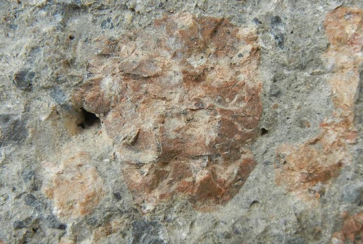 岩石種類有哪些