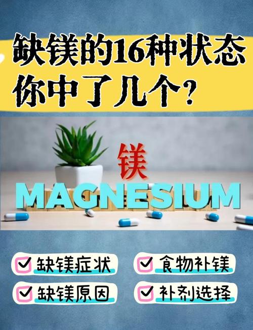 植物缺鎂怎麼辦:從辨識黃葉症狀到高效補鎂策略,讓您的植物重拾翠綠生機! 3 植物缺鎂怎麼辦