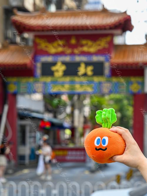 高雄無聊可以去哪?深度探索港都的獨特魅力與私房景點全攻略 3 高雄無聊可以去哪