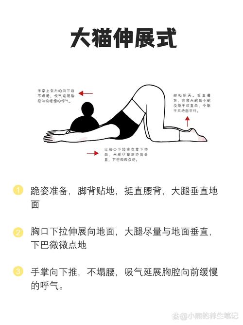 如何改善坐姿不良:從根源著手,重塑健康脊椎與提升工作效率的全面指南 3 如何改善坐姿不良