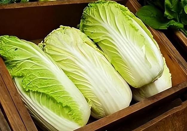 韓國有什麼蔬菜