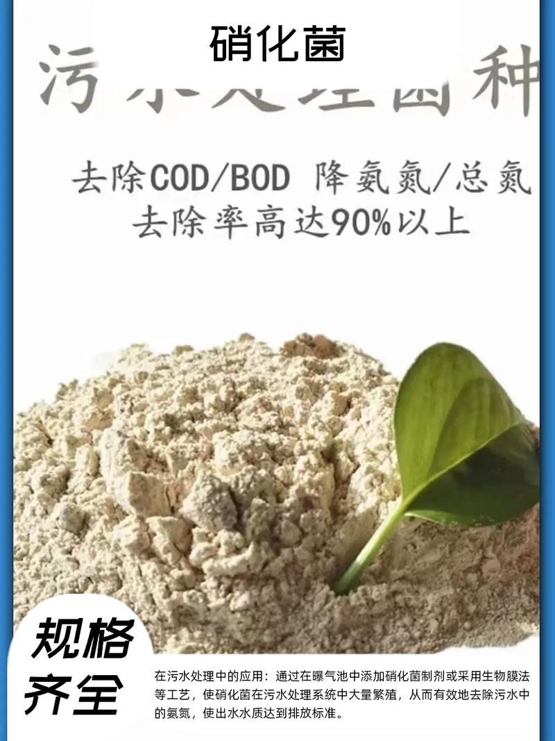 硝化菌怕什麼?揭秘水族生態系統中的隱形殺手與維護之道 3 硝化菌怕什麼