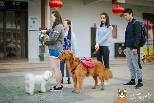 壽司郎可以帶狗嗎