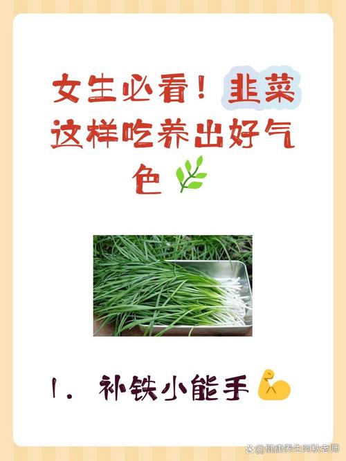 吃韭菜會拉肚子嗎:一篇關於韭菜與腸胃健康的深度解析 1 吃韭菜會拉肚子嗎