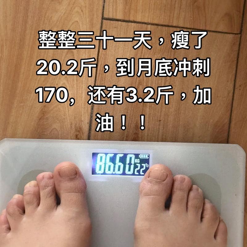 20公斤等於什麼東西:深度解析重量概念與生活應用 3 20公斤等於什麼東西