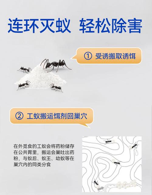 一點絕螞蟻有用嗎