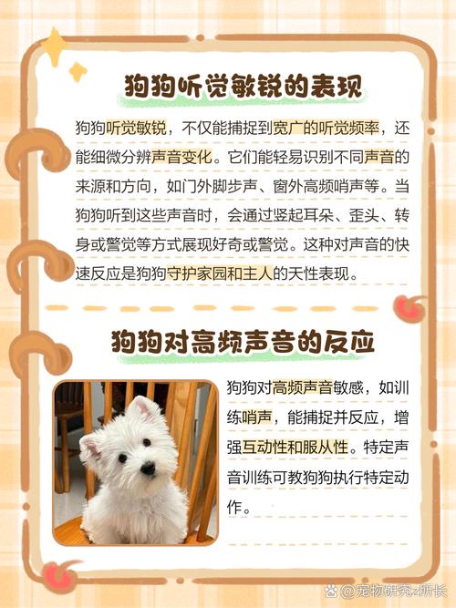 狗的聽力是人類的幾倍