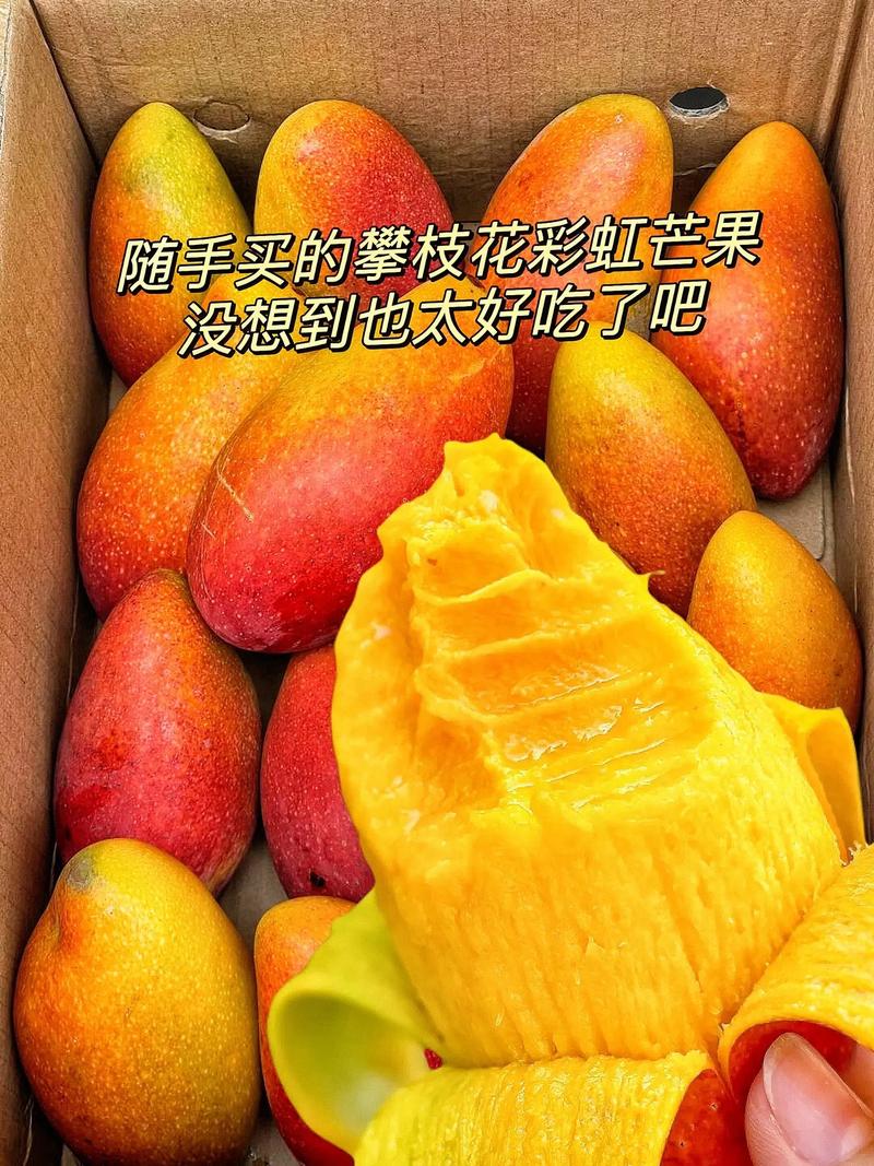 芒果可以連皮吃嗎