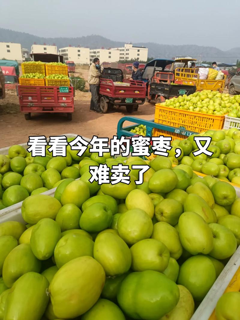 台南適合種什麼水果