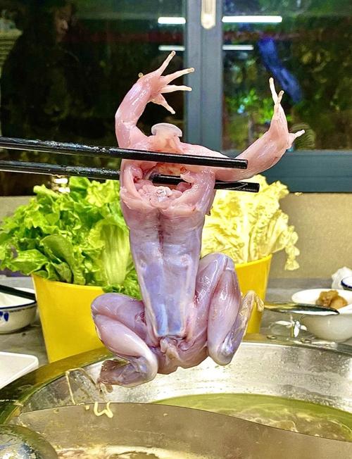 青蛙怎麼吃東西