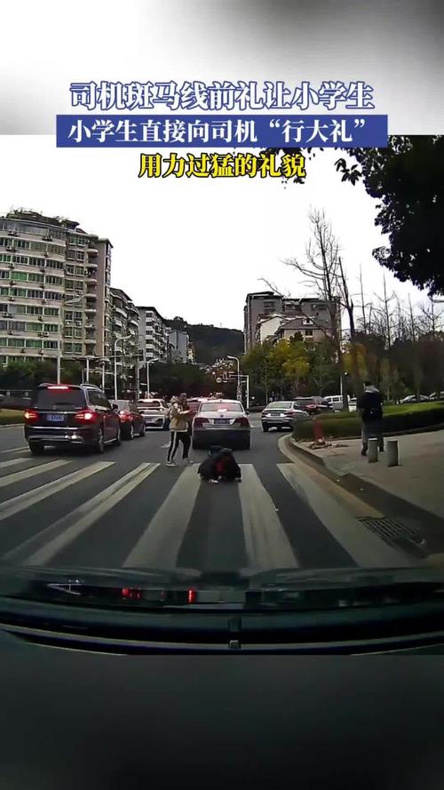 斑馬線前司機不應做甚麼