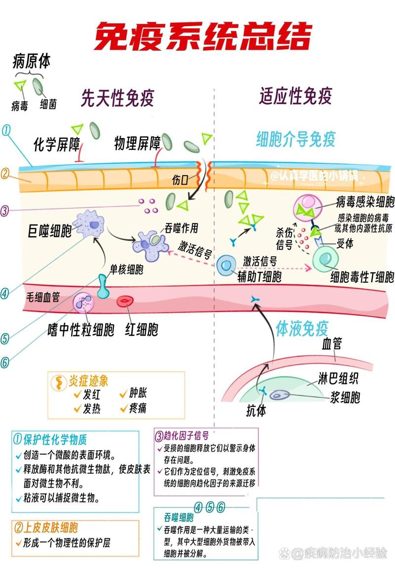 為什麼免疫系統失調