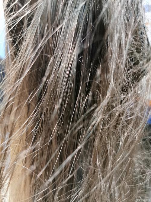 為什麼頭髮毛躁