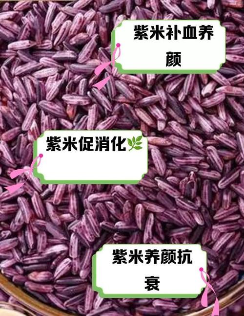 月經來可以吃紫米嗎