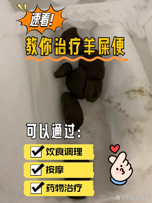 為什麼一直大羊便便