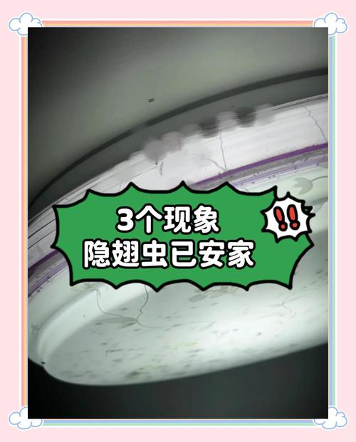家裡出現隱翅蟲怎麼辦