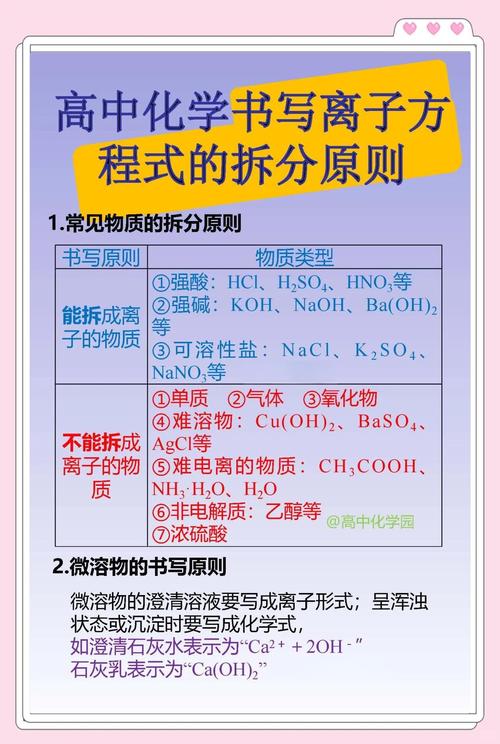 淨離子方程式是什麼