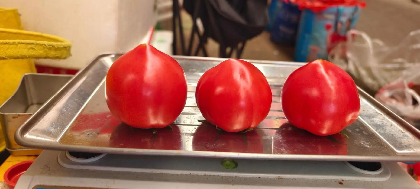 番茄的番有草字頭嗎