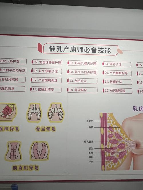 催乳是什麼?揭開哺乳媽媽最關心的泌乳奧秘與專業催乳全攻略 1 催乳是什麼
