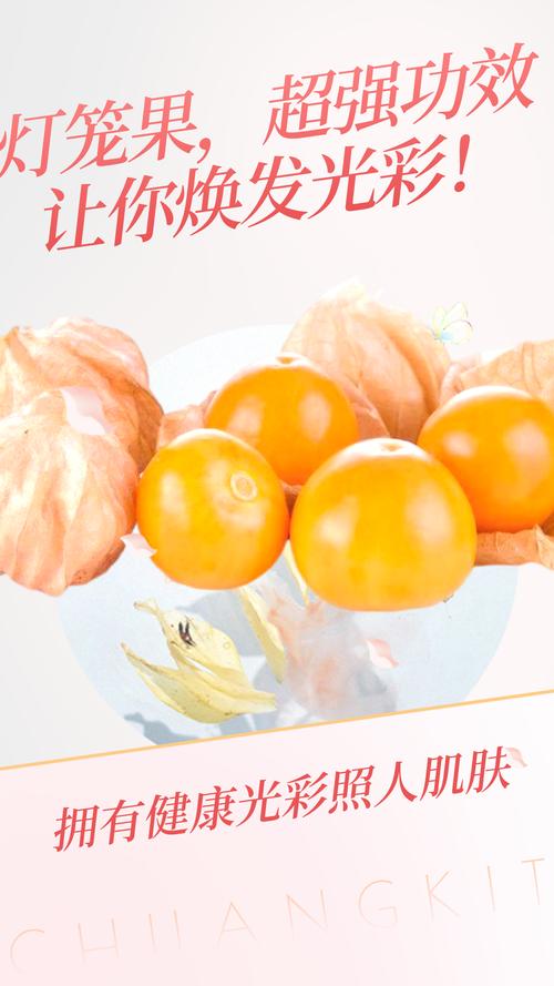 燈籠果有什麼功效