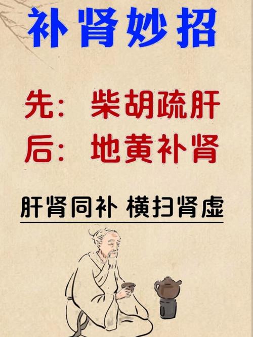 如何滋補肝腎:從日常養護到中醫調理的全面指南 1 如何滋補肝腎