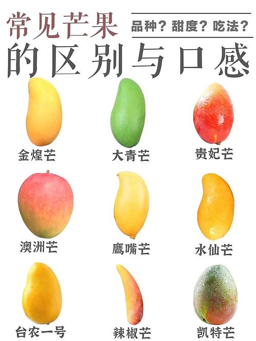 芒果怎麼分辨公母