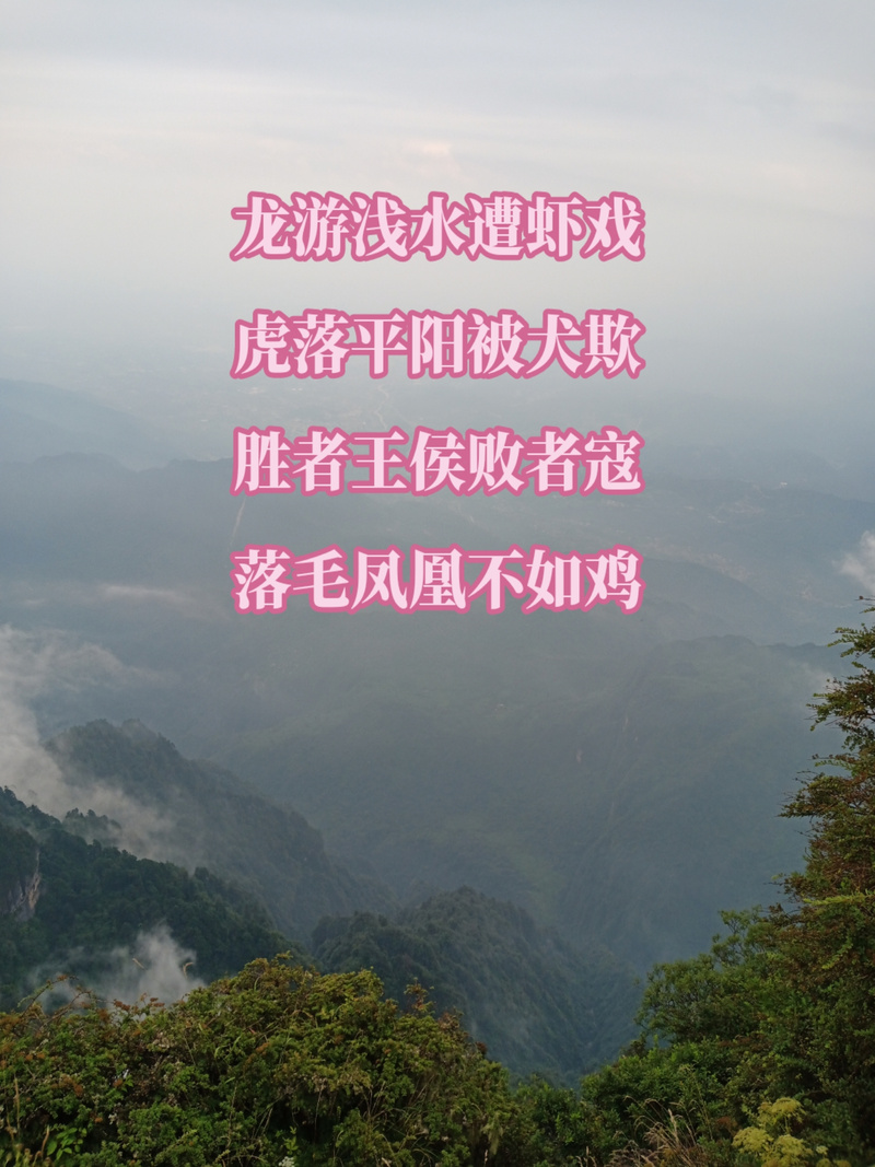 龍游淺水遭蝦戲