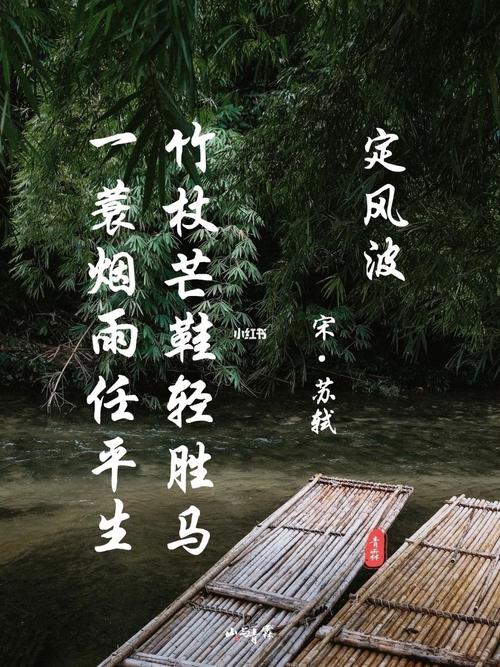 誰怕一蓑煙雨任平生意思