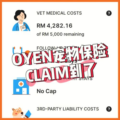 保險如何claim錢