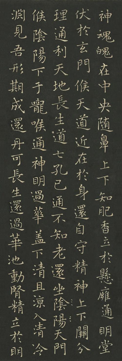 黃庭經白話
