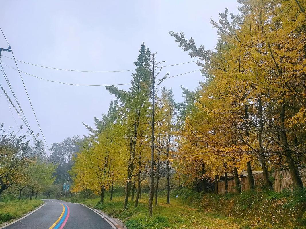 大坪林是什麼里