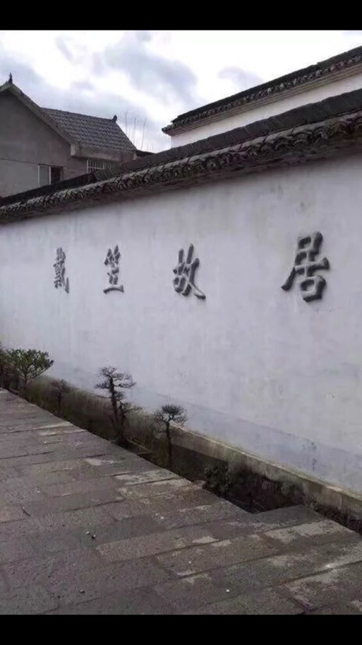 雨農是誰