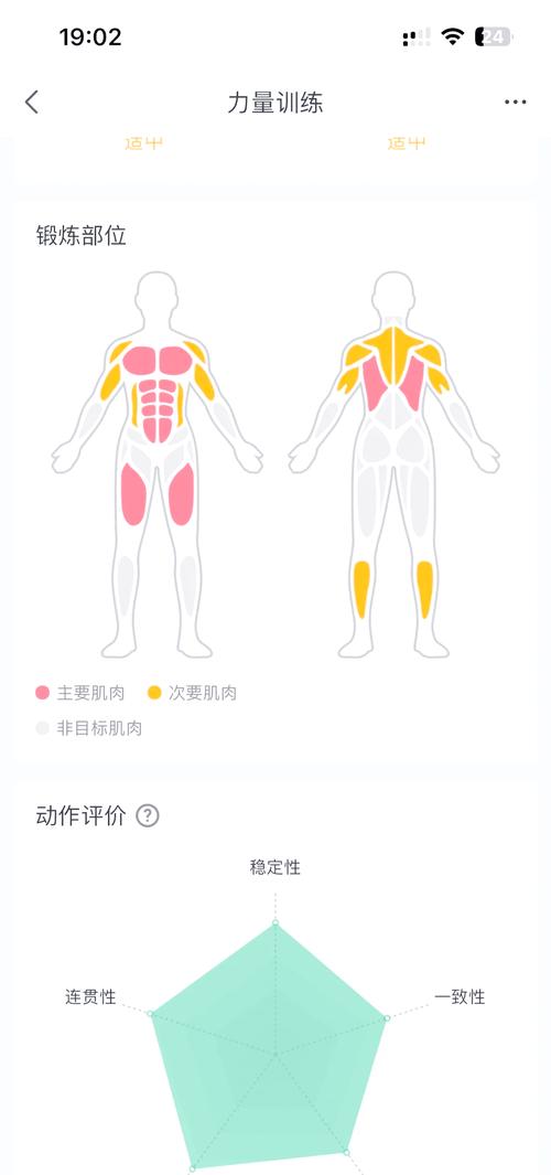 scm是什麼肌肉
