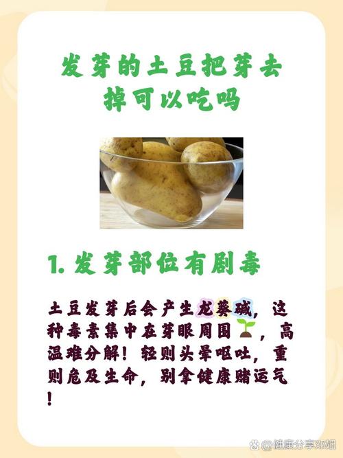 馬鈴薯為什麼要泡鹽水:從科學原理、口感升級到烹飪美味的深度解析 1 馬鈴薯為什麼要泡鹽水