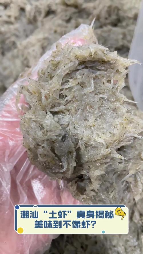 大陸的土蝦是什麼