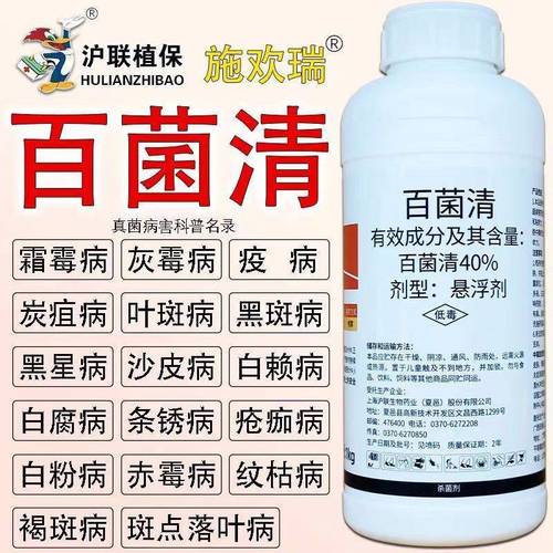 百菌清好用嗎?從功效、使用技巧到安全考量,農友必讀的深度解析 1 百菌清好用嗎