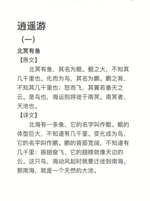 譯怎麼念?深度解析翻譯領域的「譯」與其多重意涵 1 譯怎麼念