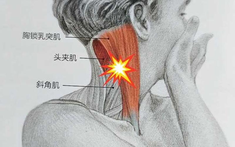 斜角肌在哪裡