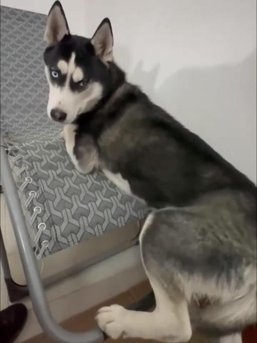 磨磨唧唧:解鎖猶豫不決的心理迷宮,擁抱高效與清晰 3 磨磨唧唧