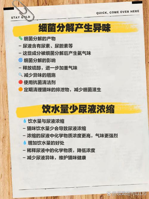 為什麼尿的味道很重