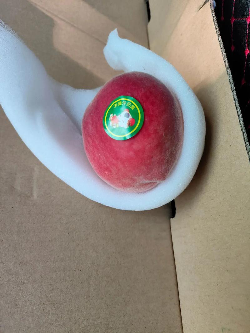 七寸桃會結果嗎?深度解析品種、種植與豐收的秘密 3 七寸桃會結果嗎