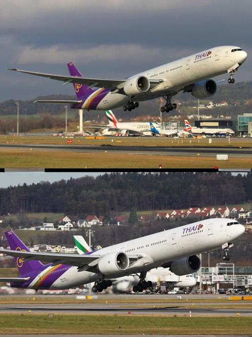 泰國獅子航空可以選位嗎